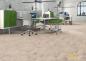 Preview: Kork Eco Dekor Schiffsboden Creme versiegelt 1,95m²/Paket